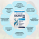 Растительный комплекс для усиления липолиза Oxantin "Сожжение жиров", 60 таб. 52169 фото 2